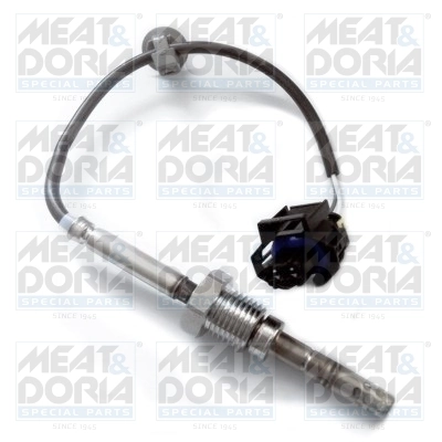 Sensor, exhaust gas temperature